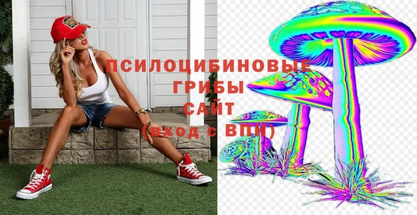 гидропоника Алексеевка