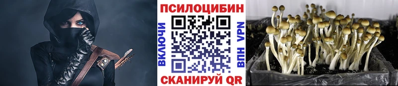 Псилоцибиновые грибы Cubensis  Новая Ляля 